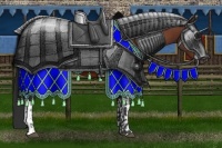 Horse Color:Bay  and Bay 