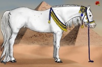 Horse Color:White Spotted Liver Red Onyx Splash 