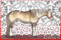 Horse Color:White Spotted Liver Red Dun Onyx Sabino 