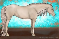 Horse Color:Chocolate Palomino Pearl