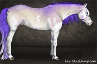 Horse Color:Watercolor Buckskin Roan Onyx Splash