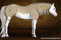 Horse Color:Chocolate Palomino Roan Dun Splash Rabicano