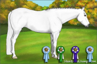 Horse Color:Gray Silver Buckskin Roan Tobiano 
