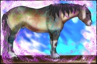 Horse Color:Brown Onyx