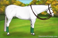 Horse Color:White Spotted Liver Red Dun Appaloosa 