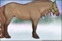 Horse Color:Liver Red Dun 