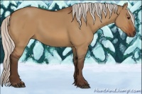 Horse Color:Silver Bay Dun 