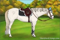 Horse Color:Perlino Roan Splash