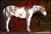 Horse Color:White Spotted Classic Champagne Sabino Rabicano