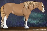 Horse Color:White Spotted Chestnut Splash 