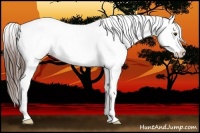 Horse Color:Liver Chestnut Snowflake Varnish