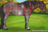 Horse Color:Plaid Brown Sabino