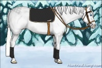 Horse Color:Silver Amber Champagne Pearl Splash Tobiano Frame Appaloosa Rabicano 