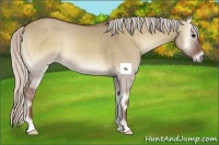 Horse Color:Silver Grullo Onyx 