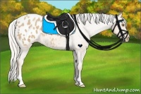 Horse Color:Silver Classic Champagne Roan Appaloosa 