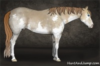 Horse Color:Chestnut Ice Splash 