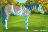 Horse Color:Thunderstruck Bay Ice 