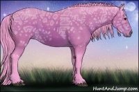 Horse Color:Watercolor Bay Ice Rabicano