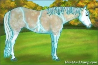 Horse Color:Thunderstruck Silver Buckskin Ice Splash 