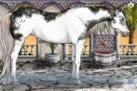 Horse Color:Nacre Silver Buckskin Ice Dun Splash Frame 