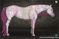 Horse Color:Watercolor Red Dun Ice 