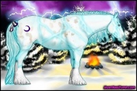 Horse Color:Thunderstruck Chocolate Palomino Ice Pearl Blanket