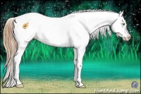 Horse Color:Gold Champagne Ice Dun Splash Appaloosa