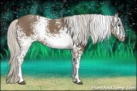 Horse Color:White Spotted Silver Smoky Black