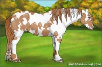 Horse Color:Chestnut Splash Tobiano 