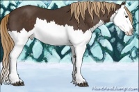 Horse Color:Liver Chestnut Splash 