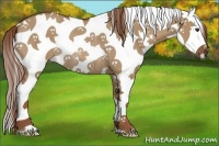 Horse Color:Red Dun Sabino Splash Tobiano Rabicano 