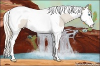 Horse Color:Smoky Creme Roan Splash Tobiano 
