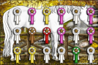 Horse Color:Gray Buckskin Sabino Splash Rabicano