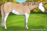 Horse Color:Watercolor Chestnut Splash 