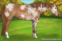 Horse Color:Chestnut Ice 