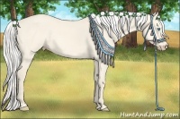 Horse Color:Silver Perlino Dun Rabicano