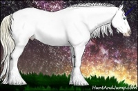 Horse Color:Perlino Ice Splash Near Leopard Rabicano 