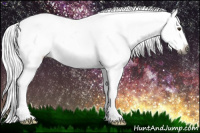 Horse Color:Gray Liver Chestnut Ice Appaloosa 