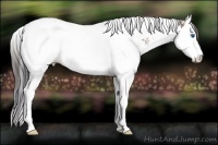 Horse Color:Plaid Bay Ice Sabino Splash Tobiano Appaloosa