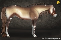 Horse Color:White Spotted Liver Red Onyx 