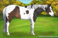 Horse Color:Brown Splash Tobiano Rabicano