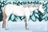 Horse Color:Grullo Splash Tobiano Appaloosa 