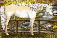 Horse Color:Silver Classic Champagne Dun Splash Frame