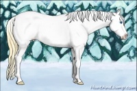 Horse Color:Smoky Black Ice Sabino Splash Tobiano Blanket