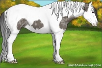 Horse Color:Smoky Grullo Ice Splash Tobiano 