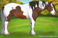 Horse Color:Bay Sabino Splash Tobiano 