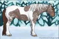 Horse Color:Liver Chestnut Ice Tobiano