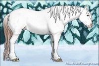 Horse Color:White Spotted Chestnut Tobiano Appaloosa