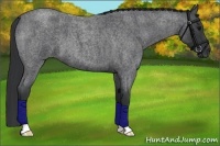 Horse Color:Blue Roan