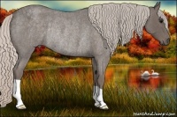 Horse Color:Silver Blue Roan Rabicano 